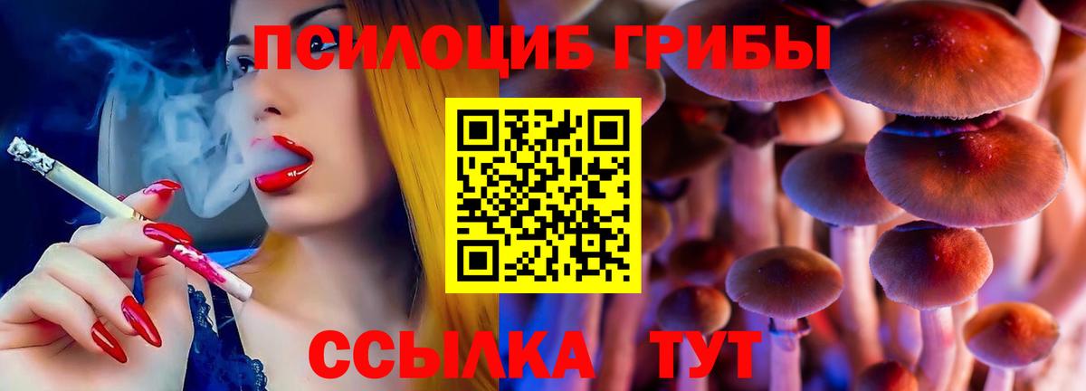 Псилоцибиновые грибы прущие грибы Реутов