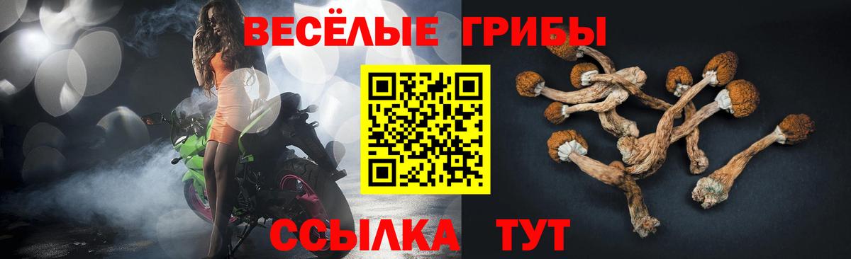 Реутов  где найти наркотики  Вход с VPN  Псилоцибиновые грибы мухоморы  Псилоцибиновые грибы ЛСД 